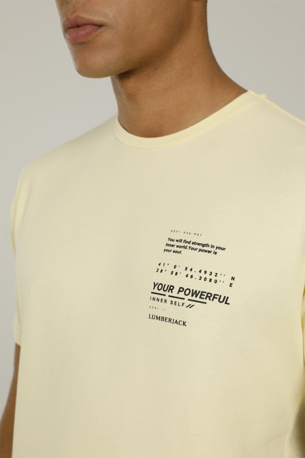 Lumberjack Erkek T-Shirt 101093863 Sarı