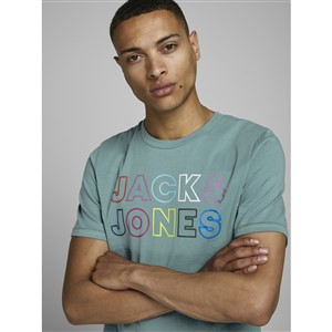 Jack Jones Erkek T-Shirt 12171360 North Atlantic