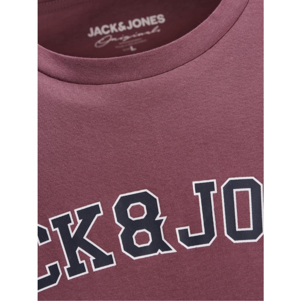 Jack Jones Erkek T-Shirt 12186317 Hawthorn Rose