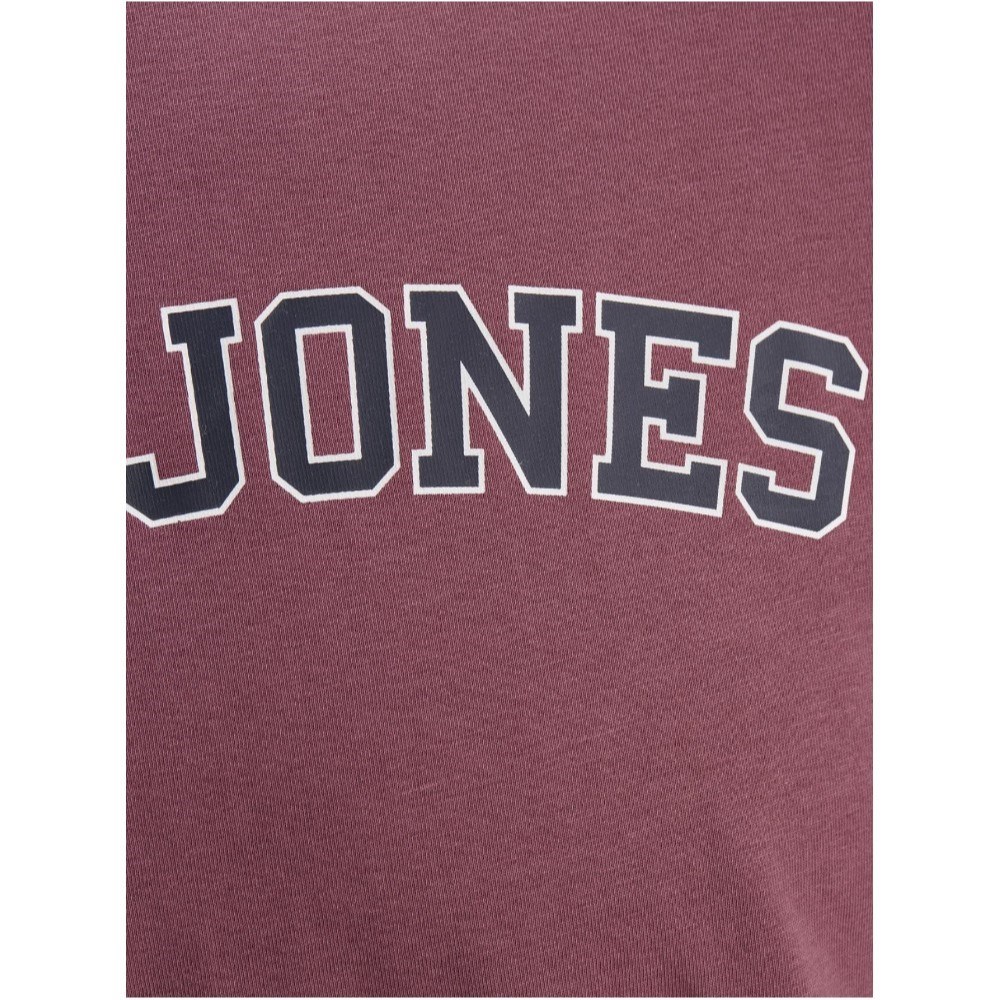 Jack Jones Erkek T-Shirt 12186317 Hawthorn Rose
