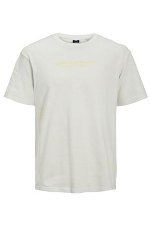 Jack Jones Erkek T-Shirt 12205063 Glacier Gray