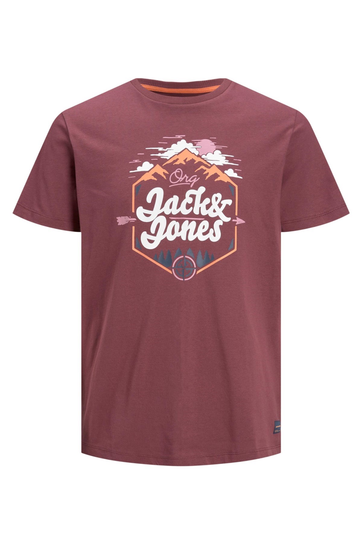 Jack Jones Erkek T-Shirt 12207474 Catawba Grape