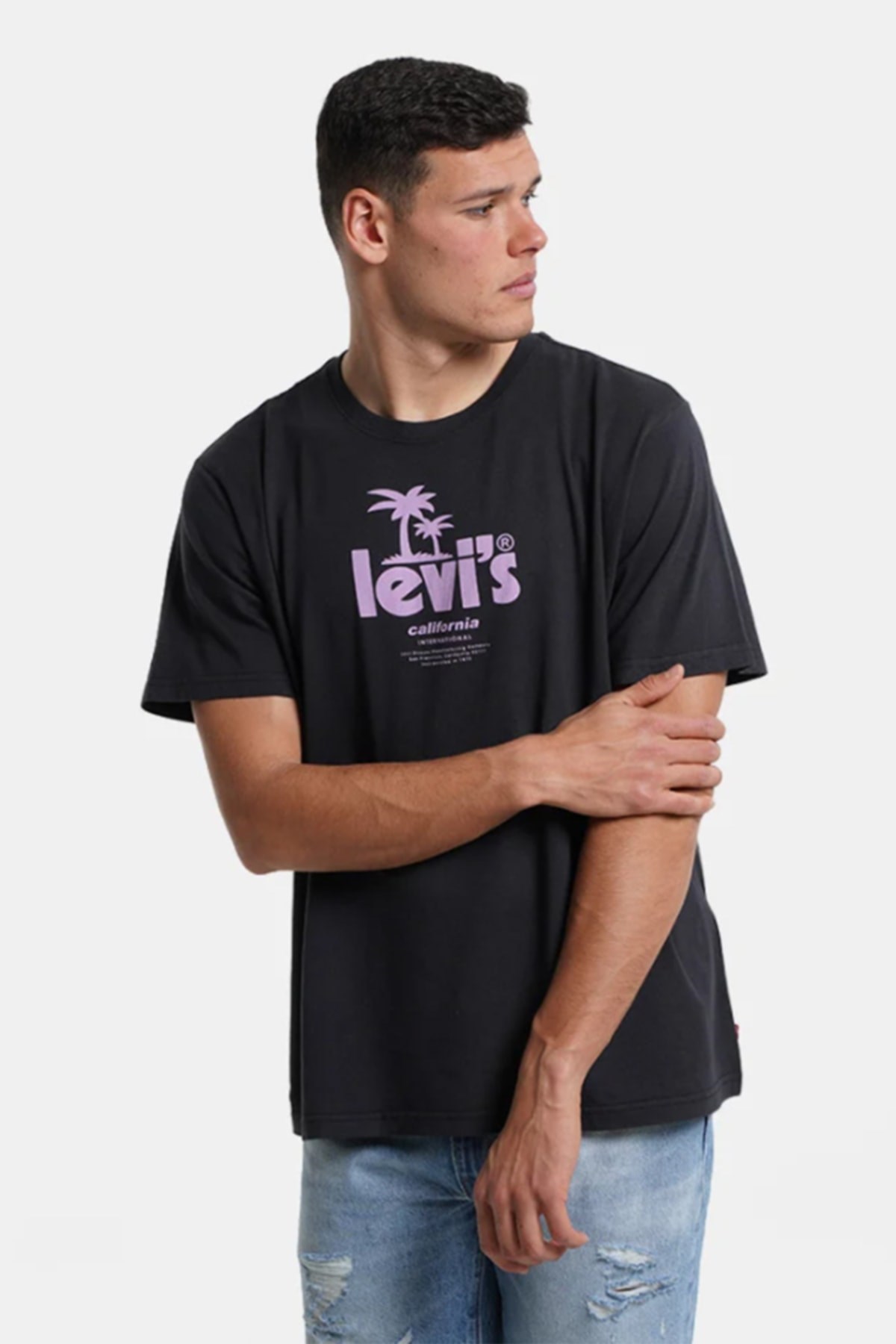 Levis Erkek T-Shirt 16143-0485 