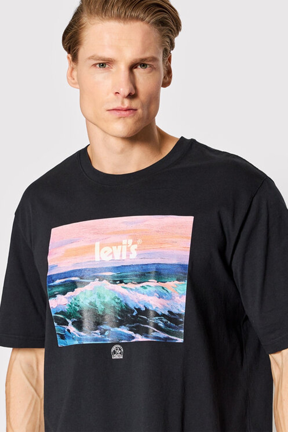 Levis Erkek T-Shirt 16143-0543 