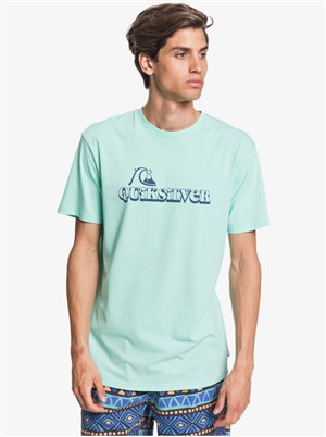 Quiksilver Erkek T-Shirt EQYZT05818 Beach Glass